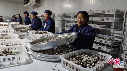 23省市2100余款產(chǎn)品齊聚全國菌博會(huì)，《中國食用菌產(chǎn)業(yè)年鑒》即將發(fā)布